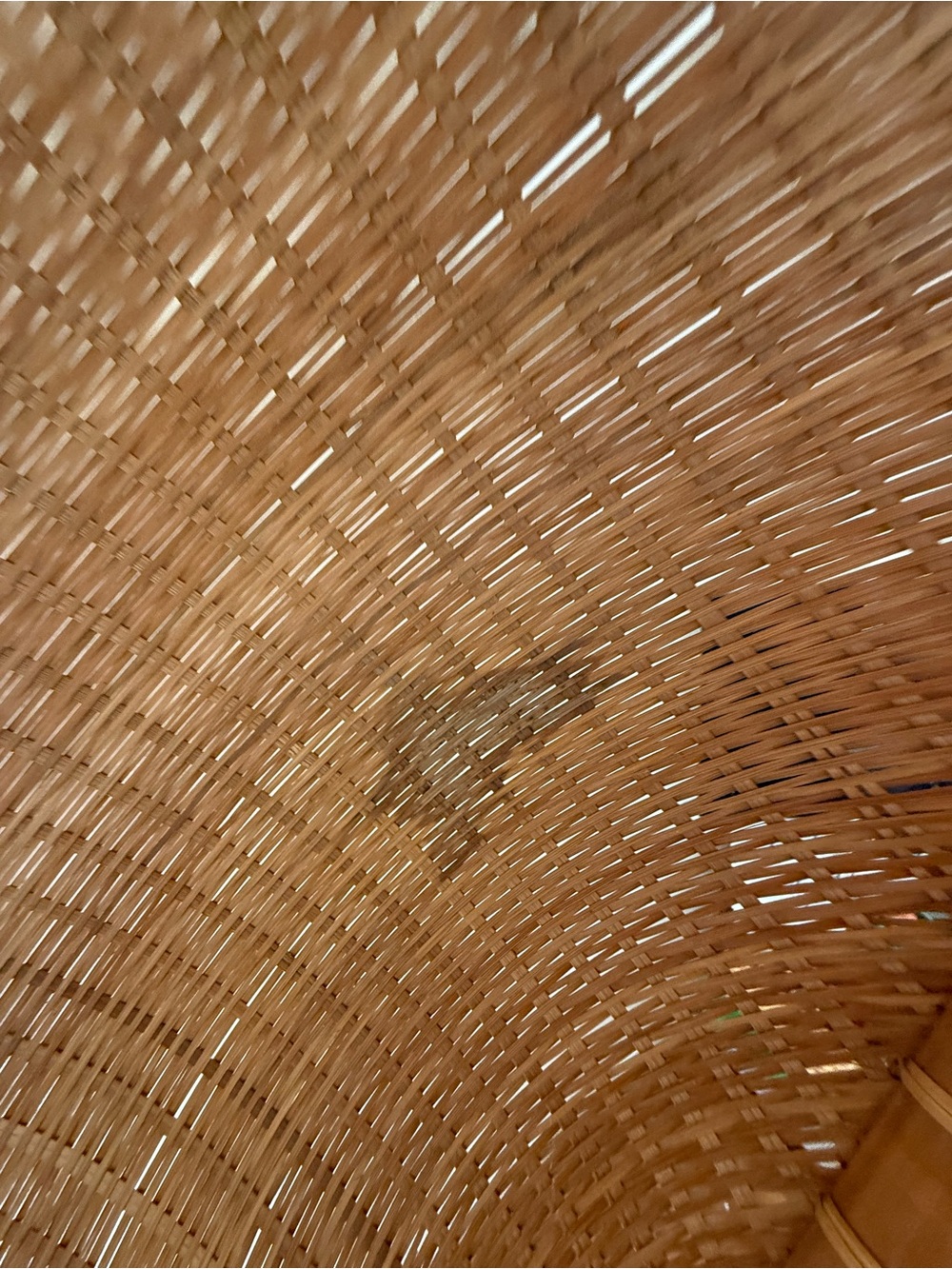 Handwoven Rattan Basket - Picture 4 of 4